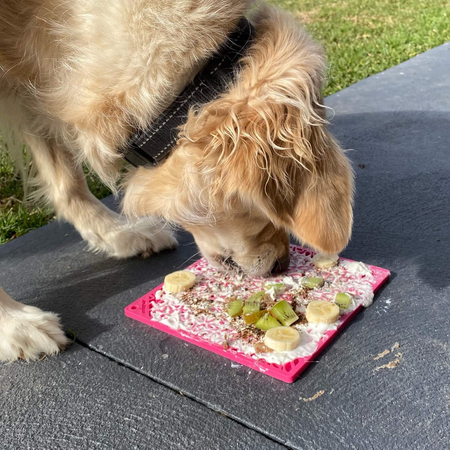 Flower Power Enrichment eMat Lick Mat