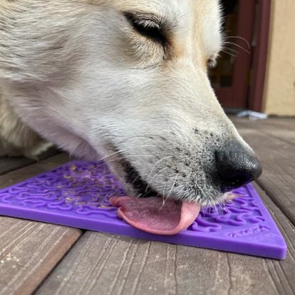 Bones Enrichment eMat Lick Mat