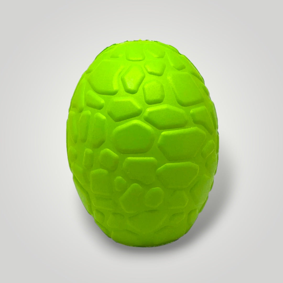 Dinosaur Egg