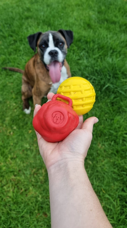 Asteroid Chew Toy