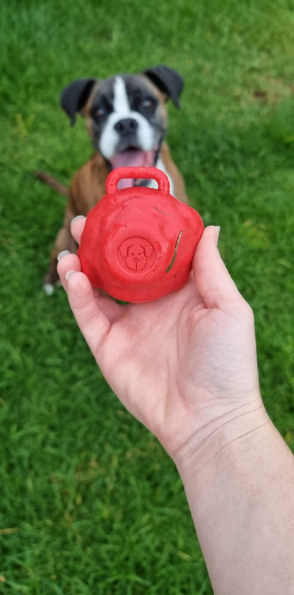 Asteroid Chew Toy