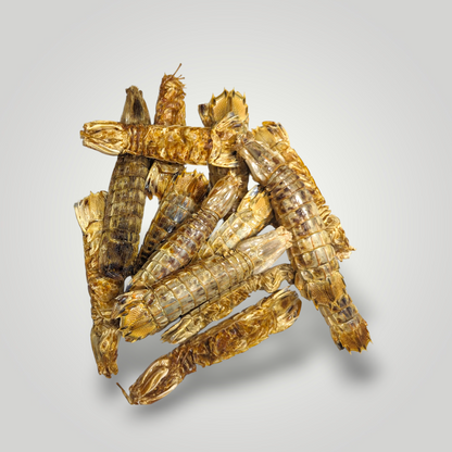 Mantis Shrimp Delights